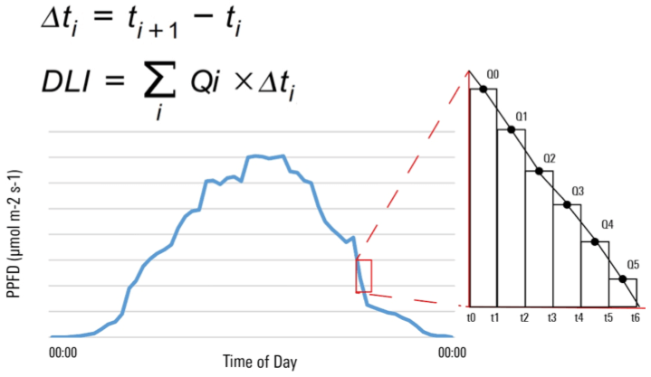 DLI graph