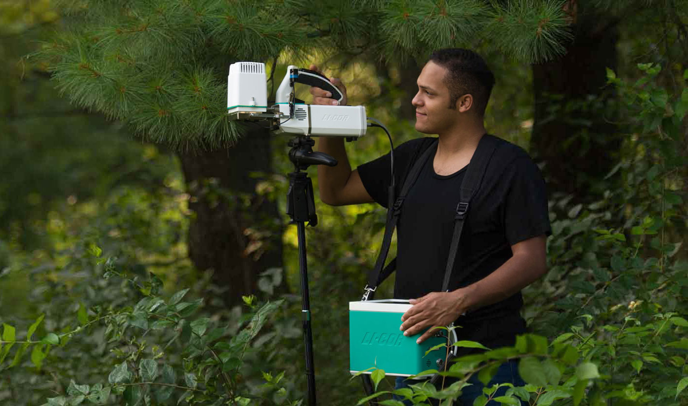 LI-6800 measuring conifers